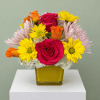 Sunny Squeeze is a cheerful floral arrangement bursting with bright color and