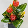 Pincushion Protea with Tropical Leaves  