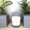 Soy candle in a glass jar with two matching boxes and potted plants behind it