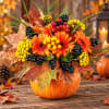 Orange gerbera daisies and berries arranged in a pumpkin vase