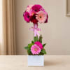 Pink and magenta gerbera daisy arrangement in a white square vase with a ribbon