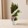 Tall arrangement of pale pink roses in a white pot with a pink ribbon