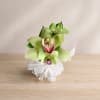 Green orchid corsage with a white ribbon bow