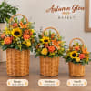 Three autumn flower baskets with sunflowers, roses, and lilies in wicker baskets