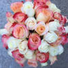 Bouquet of pink and white roses with red-edged petals