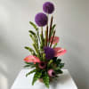Tall tropical arrangement with purple allium, pink anthuriums, and green accents in a woven container
