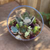 Succulent arrangement in a clear glass bowl with mixed rosette plants