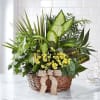 Basket of assorted green plants with small yellow flowers and a burlap bow