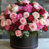 Soft. Elegant. Unforgettable. 

A perfect harmony of blush pink, deep red, and