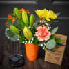 The perfect gift, A Pirani brand insulated party tumbler in orange, filled