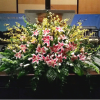 PODIUM ARRANGEMENT 114 BY TWIN TOWERS FLORIST


    As Shown