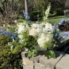 A serene cluster of white roses, hydrangeas and chrysanthemums framed by tall