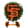 Orange and Black! San Francisco's Giants themed spray for a personal touch.
Disclaimer: