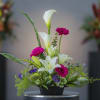 White calla lilies and magenta gerbera daisies in a low black container