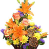 Send an eye-catching basket of lilies, daisy mums, roses and purple statice