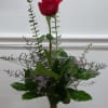 Single red rose in a clear glass vase with tall greenery