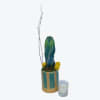 Isn't this spiral cactus the coolest thing you've ever seen?! Even cooler