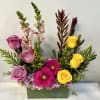 Rectangular arrangement of lavender roses, bright pink gerbera daisies, and yellow roses in a green container