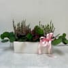 Pink and white heather arrangement in a white rectangular planter with a pink ribbon