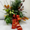 Potted mixed foliage arrangement with a large red decorative ribbon