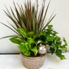 Potted arrangement of mixed green plants with a decorative ornament