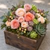 Pink and peach roses in a wooden box with succulents