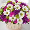 Bouquet of white daisies and purple-pink flowers in a round basket