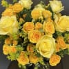 Classic roses beautifully arranged in a vase, perfect for birthdays, anniversaries, romance