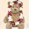 PLUSH BEAR not included !  PLACE YOUR ORDER 3 DAYS IN