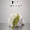 A graceful bouquet of lush white hydrangeas accented with cascading green amaranthus