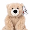 Plush teddy bear with a hang tag on a white background