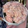 Large bouquet of pale pink hydrangeas wrapped in white paper with a pink ribbon