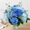 Blue hydrangea bouquet in a clear glass vase