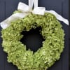 Green hydrangea wreath with a white ribbon bow