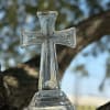 Clear glass cross ornament on a tree branch