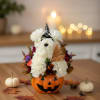 White flower dog in a jack-o'-lantern pumpkin container