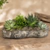 Bring natural beauty indoors with our Rustic Succulent Garden. This long-lasting design