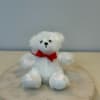 White teddy bear with a red bow sitting on a round tray