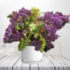 Purple and green orchid arrangement in a white vase