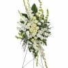 A magnificent symbol of love and peace, this pure white and green