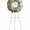 A ring of fragrant, bright white blossoms will create a serene display