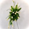 Tall standing arrangement of white calla lilies and green foliage on a black easel