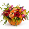 Mixed flower arrangement in a pumpkin-shaped container