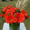 Orange gerbera daisies and roses in a glass vase with wheat stems