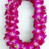 The orchid lei made with purple dendrobium orchids, you can choice with