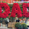 Large red floral letters spelling DAD with greenery accents