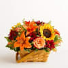 Basket of orange lilies, yellow sunflower, red blooms, and roses in a woven basket.