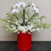 White orchids arranged in a red cylindrical container