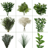 Collage of assorted green foliage stems and white baby's breath bunches