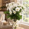 White daisy bouquet in a clear glass vase with a ribbon